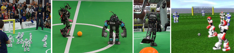 Humanoid Soccer Robots