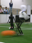 RoboCup 2012: NimbRo vs. CIT Brains
