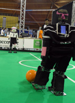 RoboCup 2013: NimbRo Passing Challenge