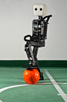 NimbRo-OP robot