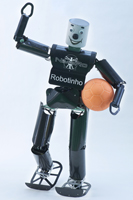 NimbRo TeenSize 2006 robot Robotinho