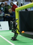 RoboCup German Open 2012: Humanoid league team Darmstadt Dribblers kicking the ball high