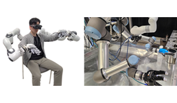 KAIST-ANL Avatar System
