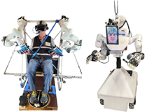 NimbRo Avatar System