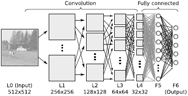 Convolutional Neural Network