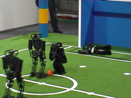 RoboCup 2006 Humanoid League 2 vs. 2 Soccer Games Final RoboCup 2006 Humanoid League 2 vs. 2 Soccer Games Final