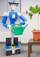 Cognitive Service Robot Cosero