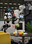NimbRo domestic service robots