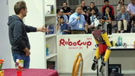 RoboCup 2010: Best-of NimbRo@Home