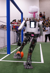 RoboCup 2012 Final: NimbRo vs. CIT Brains