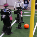 RoboCup 2012 Final: NimbRo vs. CIT Brains