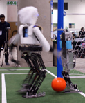 RoboCup 2012: NimbRo vs. SHAYAN: Copedo kicking