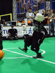 RoboCup 2013: NimbRo-OP first goal