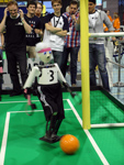 RoboCup 2013: NimbRo vs. CIT-Brains