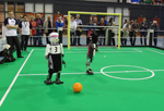 RoboCup 2013: NimbRo vs. AcYut