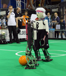 RoboCup 2013: NimbRo vs. AcYut