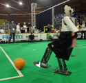 RoboCup 2013: NimbRo vs. FUB-KIT