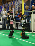 RoboCup 2013: NimbRo vs. SIOR