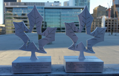 NimbRo Trophies