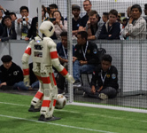 RoboCup 2019 Final: NimbRo vs. Sweaty