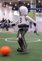 Copedo at RoboCup 2012