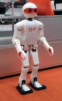 igus Humanoid Open Platform