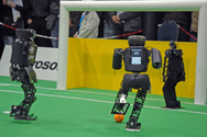 RoboCup German Open 2008 Final: NimbRo vs. FUmanoid