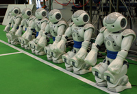 NimbRo Nao Robots