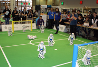 Standard Platform League (SPL) at German Open 2011