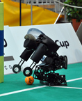 RoboCup 2009 Ball Pickup