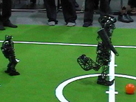 RoboCup 2006 2 vs. 2 Soccer NimbRo vs. BreDoBrothers