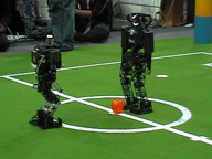 RoboCup 2006 Soccer: NimbRo vs. ROPE