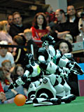 menschenhnlicher Roboter vor Publikum; Rechte: WDR/Rinke